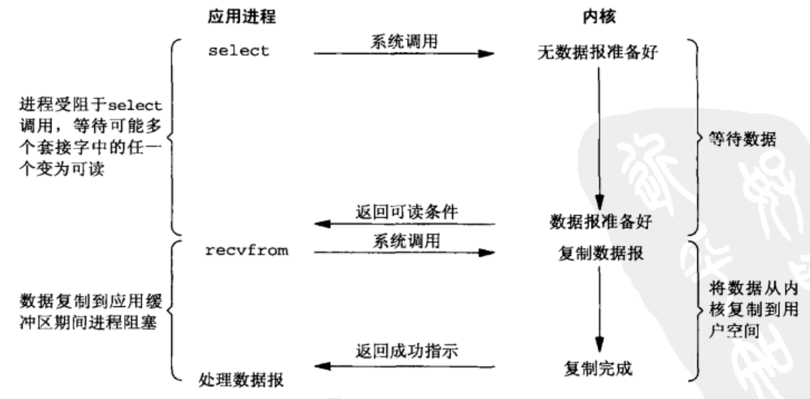 image-20231024231621928