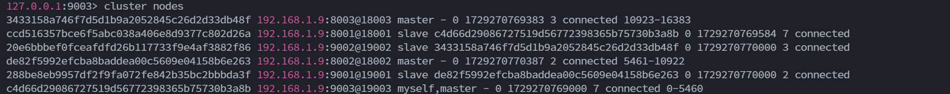 image-20241019010000747