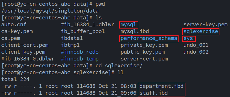 image-20241021211236366